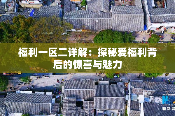 福利一区二详解：探秘爱福利背后的惊喜与魅力