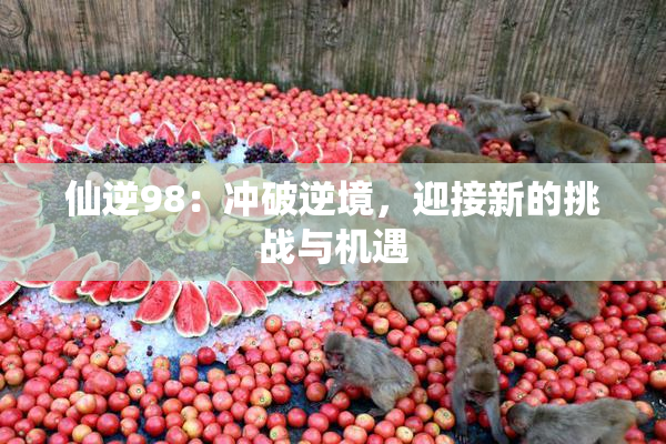 仙逆98：冲破逆境，迎接新的挑战与机遇