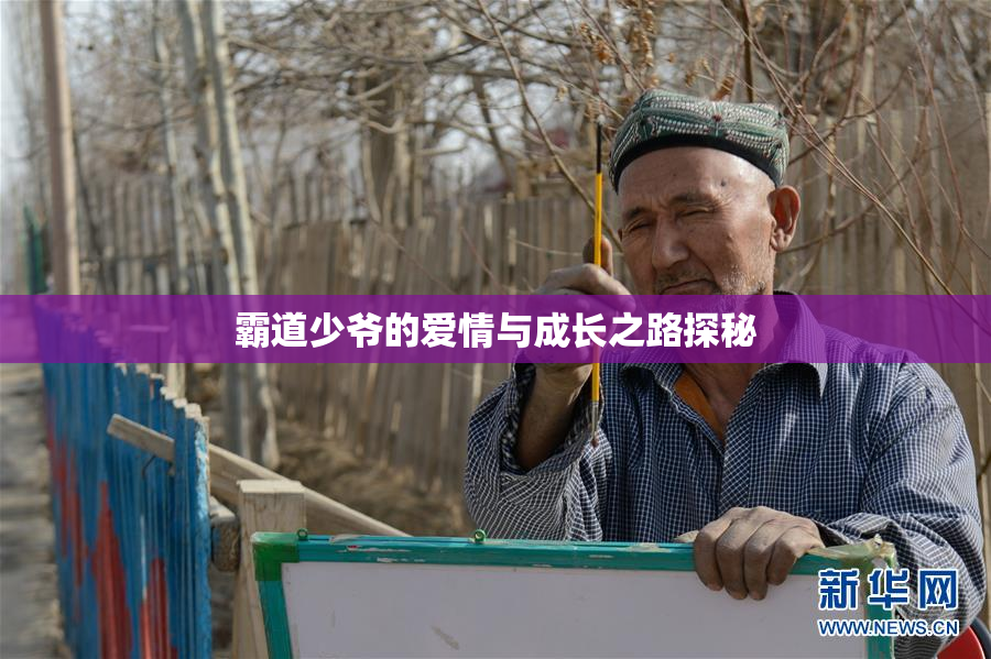 霸道少爷的爱情与成长之路探秘