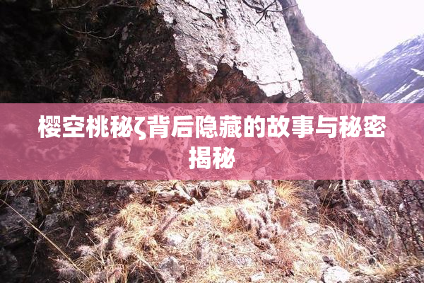 樱空桃秘ζ背后隐藏的故事与秘密揭秘