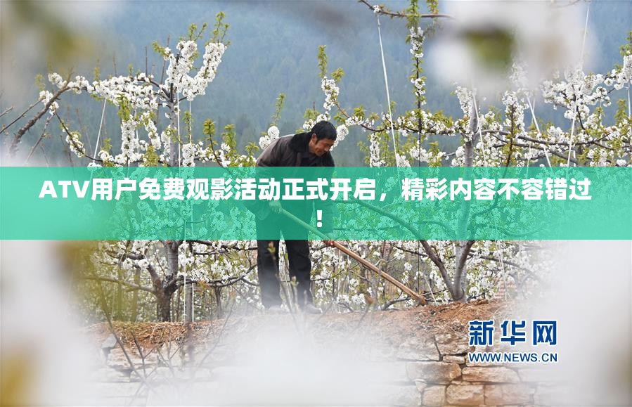 ATV用户免费观影活动正式开启，精彩内容不容错过！