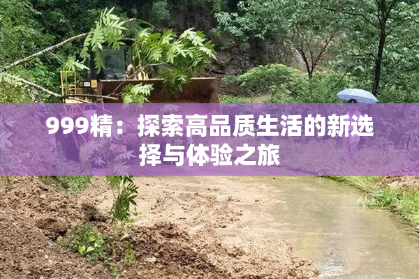 999精：探索高品质生活的新选择与体验之旅
