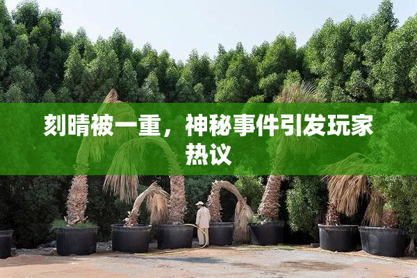 刻晴被一重，神秘事件引发玩家热议