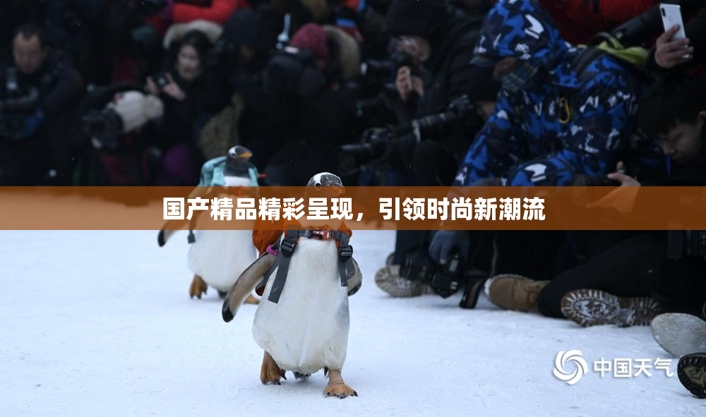 国产精品精彩呈现，引领时尚新潮流
