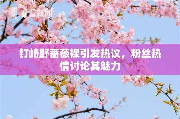 钉崎野蔷薇裸引发热议，粉丝热情讨论其魅力