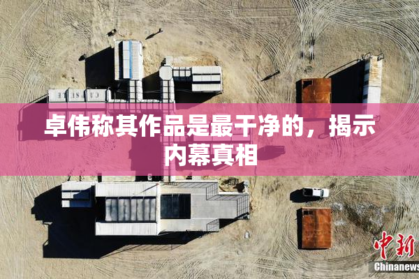 卓伟称其作品是最干净的，揭示内幕真相