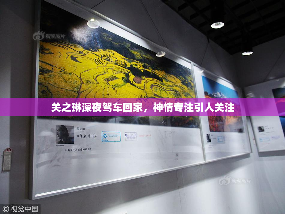 关之琳深夜驾车回家，神情专注引人关注