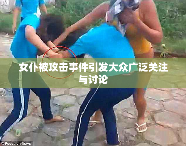 女仆被攻击事件引发大众广泛关注与讨论