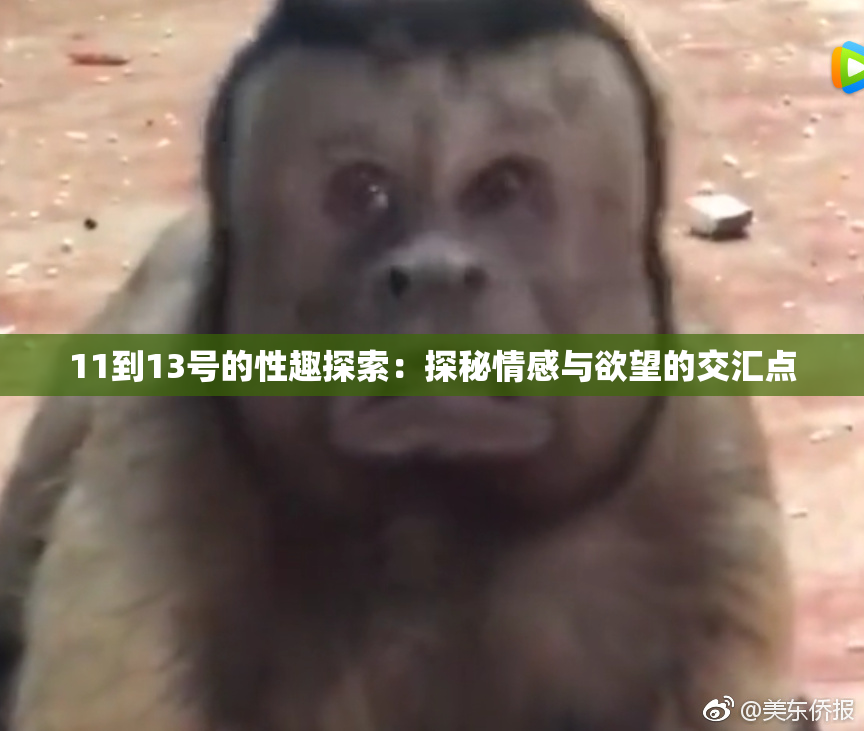 11到13号的性趣探索：探秘情感与欲望的交汇点