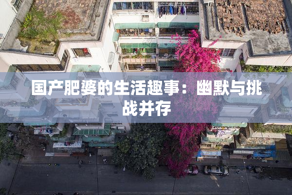 国产肥婆的生活趣事：幽默与挑战并存
