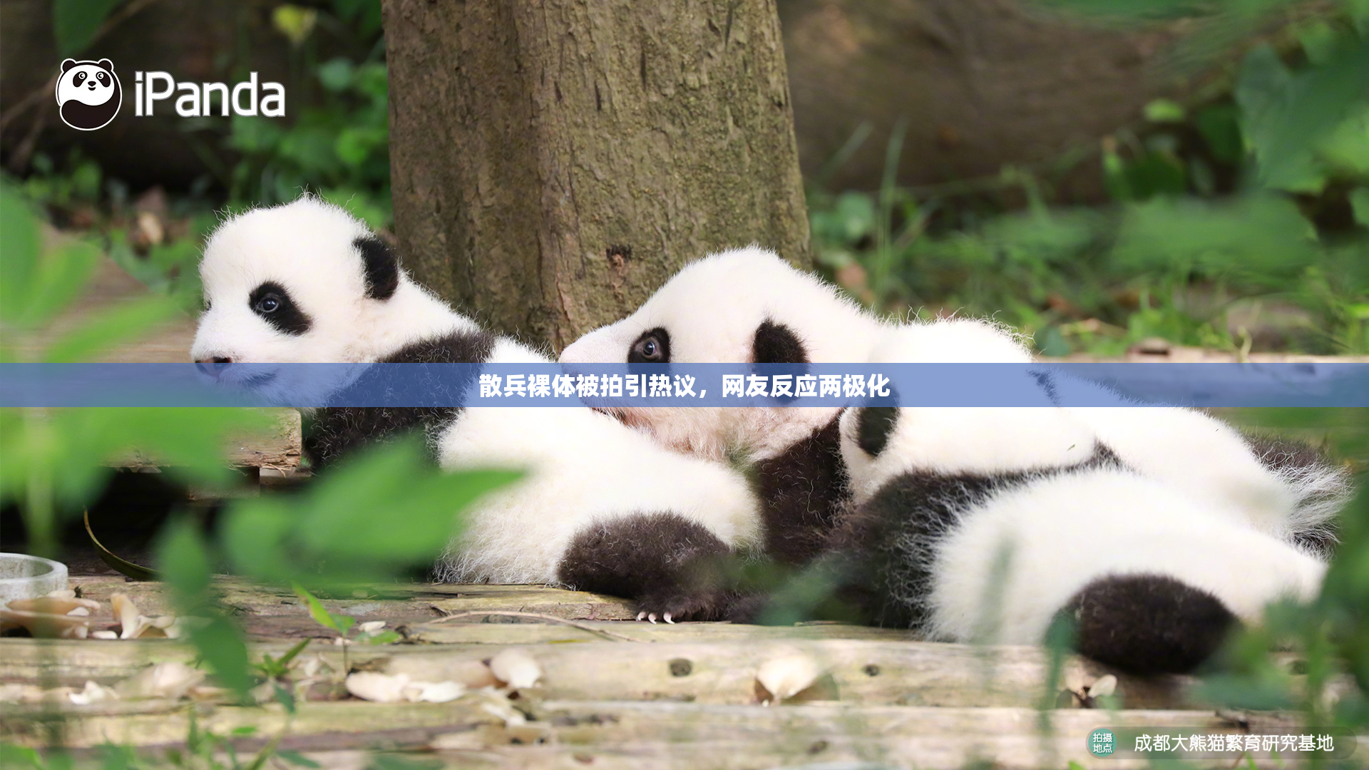 散兵裸体被拍引热议，网友反应两极化