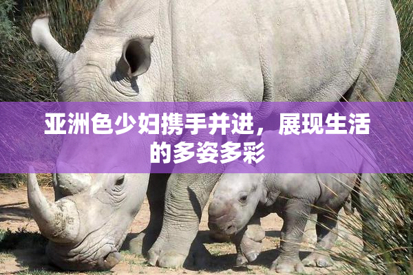亚洲色少妇携手并进，展现生活的多姿多彩