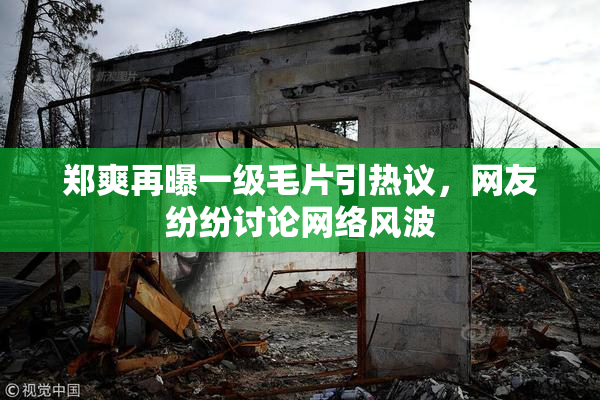 郑爽再曝一级毛片引热议，网友纷纷讨论网络风波