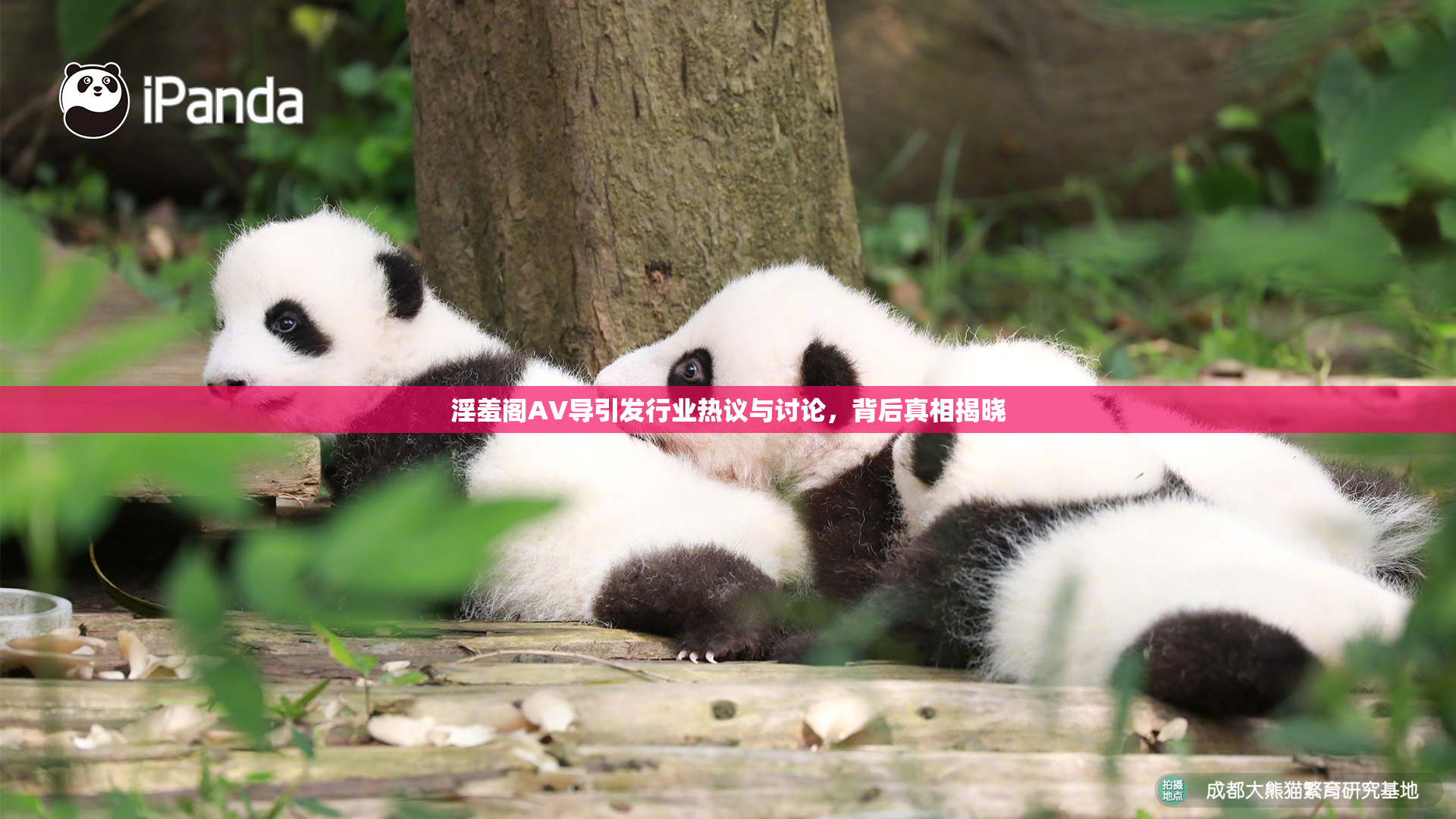 淫羞阁AV导引发行业热议与讨论，背后真相揭晓