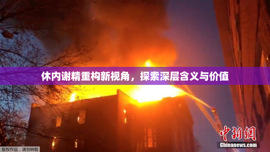 休内谢精重构新视角，探索深层含义与价值