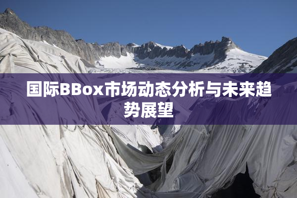国际BBox市场动态分析与未来趋势展望