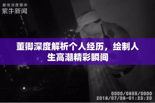 董卿深度解析个人经历，绘制人生高潮精彩瞬间