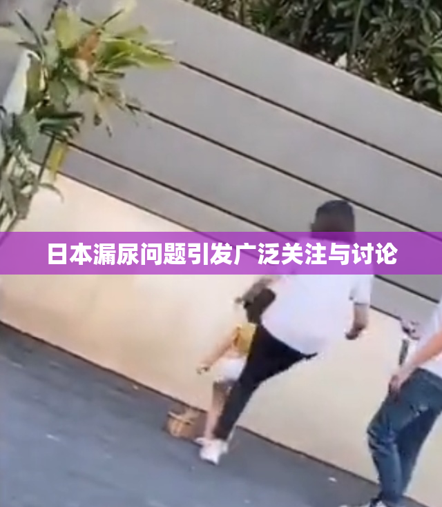 日本漏尿问题引发广泛关注与讨论