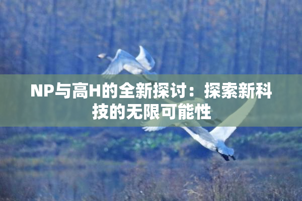 NP与高H的全新探讨：探索新科技的无限可能性