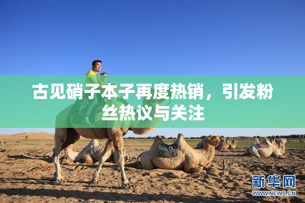 古见硝子本子再度热销，引发粉丝热议与关注