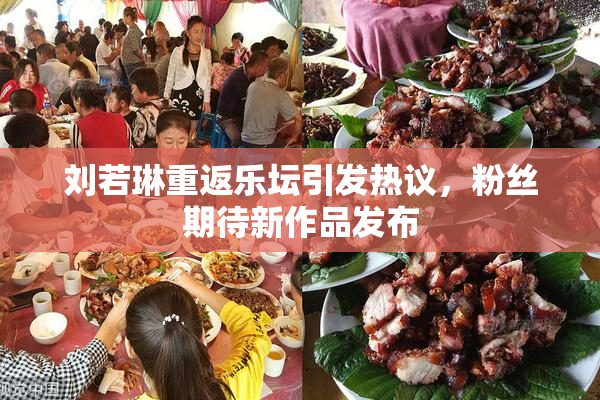 刘若琳重返乐坛引发热议，粉丝期待新作品发布