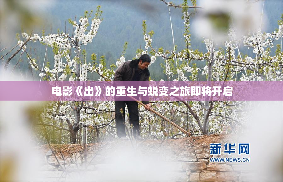 电影《出》的重生与蜕变之旅即将开启