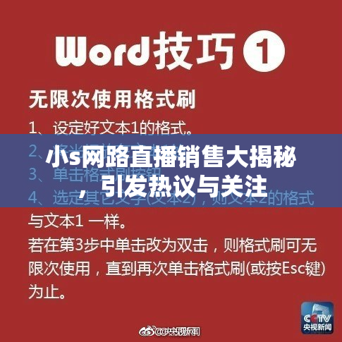 小s网路直播销售大揭秘，引发热议与关注