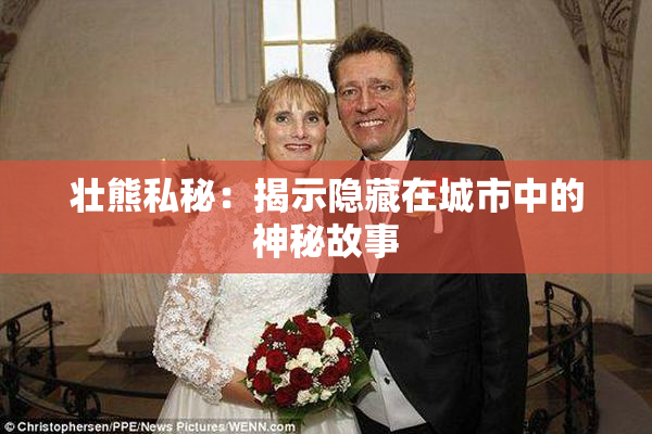 壮熊私秘：揭示隐藏在城市中的神秘故事
