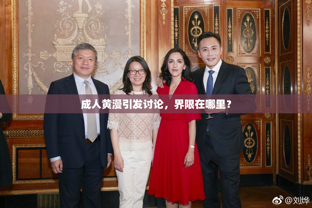 成人黄漫引发讨论，界限在哪里？