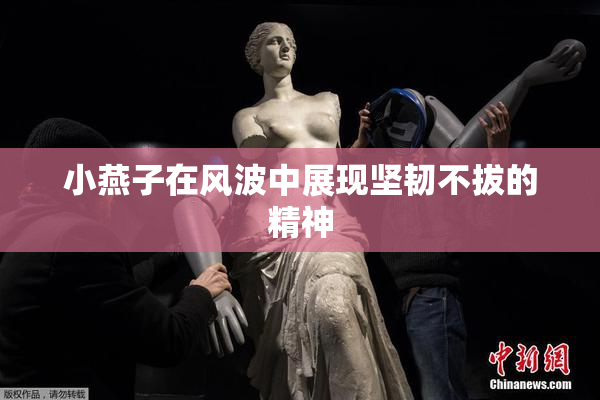 小燕子在风波中展现坚韧不拔的精神