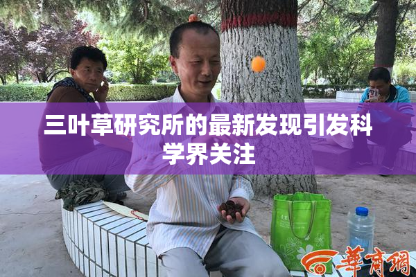 三叶草研究所的最新发现引发科学界关注