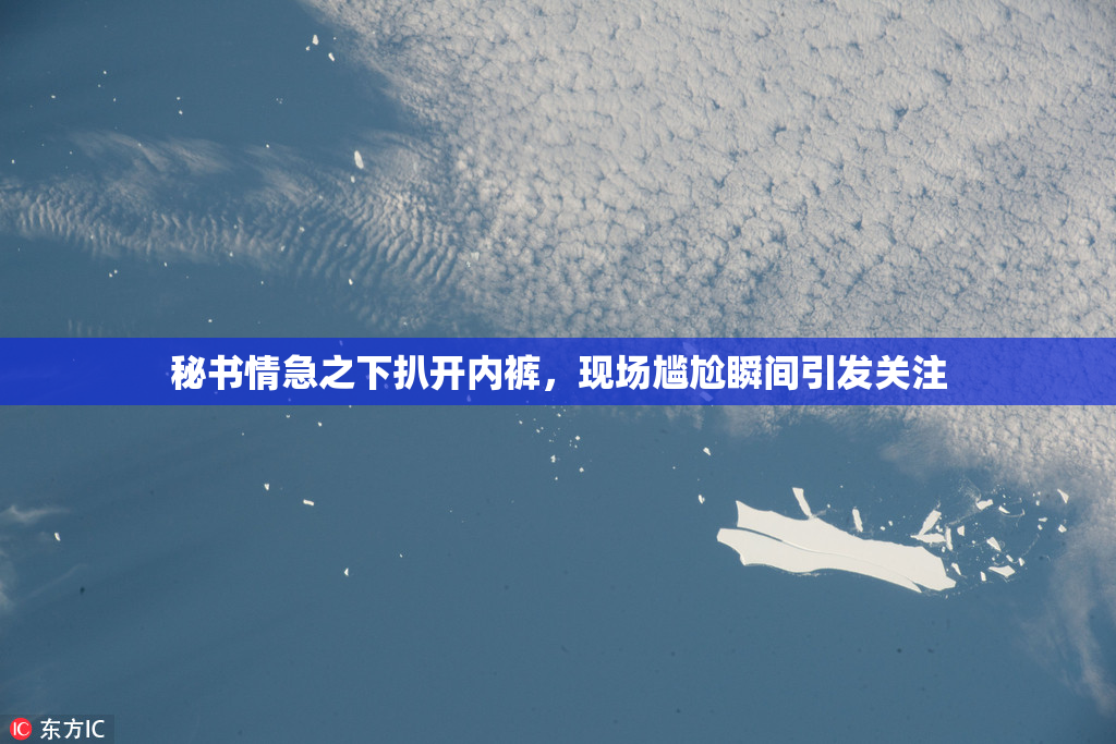 秘书情急之下扒开内裤，现场尴尬瞬间引发关注