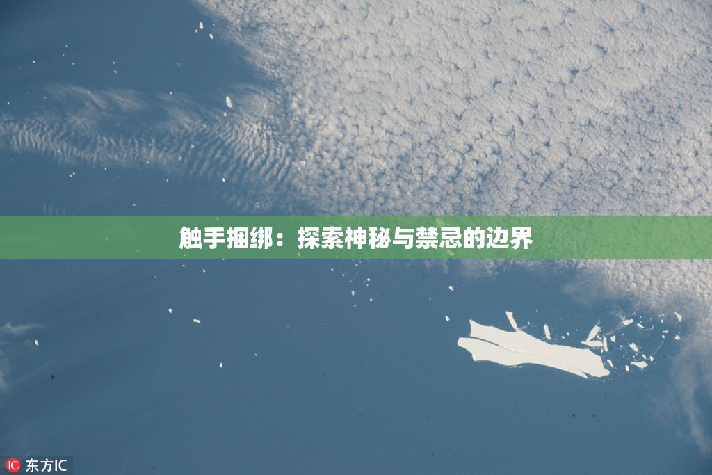 触手捆绑：探索神秘与禁忌的边界