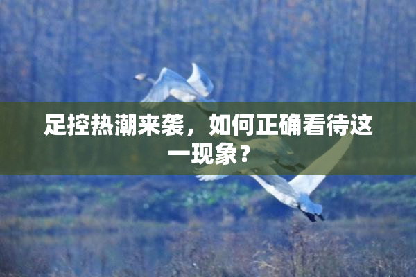 足控热潮来袭，如何正确看待这一现象？