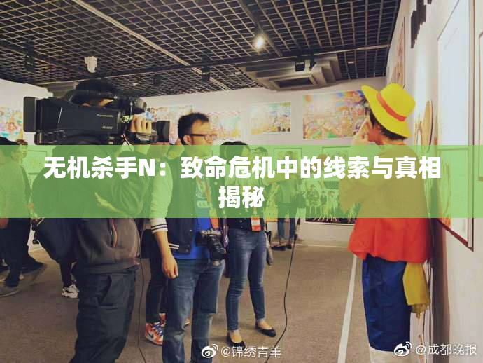 无机杀手N：致命危机中的线索与真相揭秘