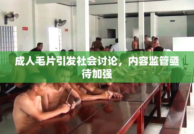 成人毛片引发社会讨论，内容监管亟待加强
