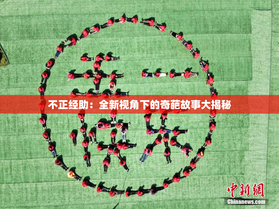 不正经助：全新视角下的奇葩故事大揭秘