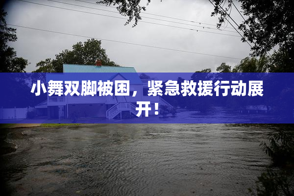 小舞双脚被困，紧急救援行动展开！