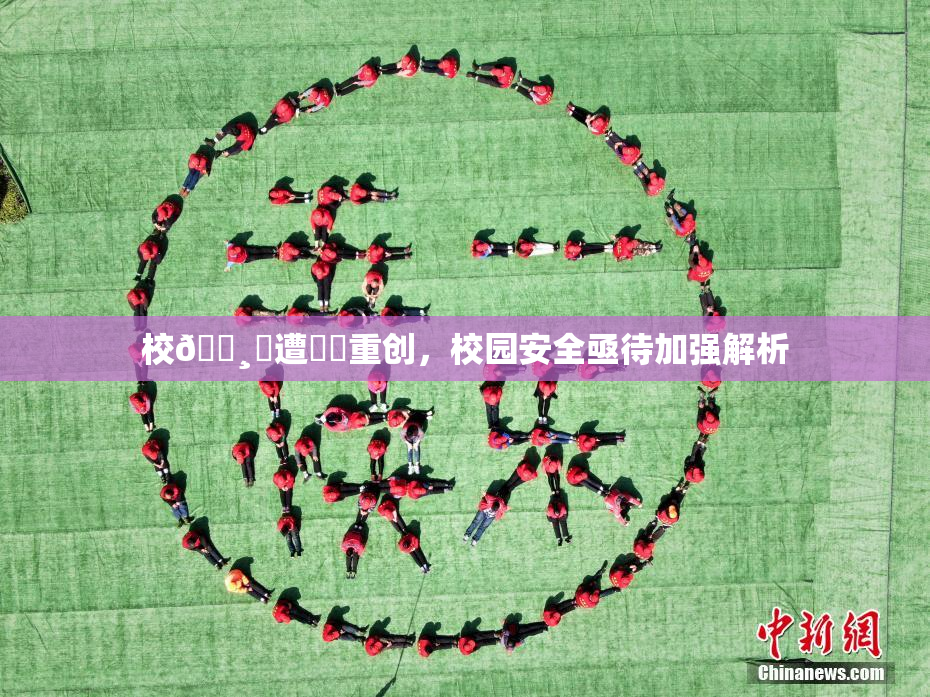 校🌸‌遭❌‌重创，校园安全亟待加强解析