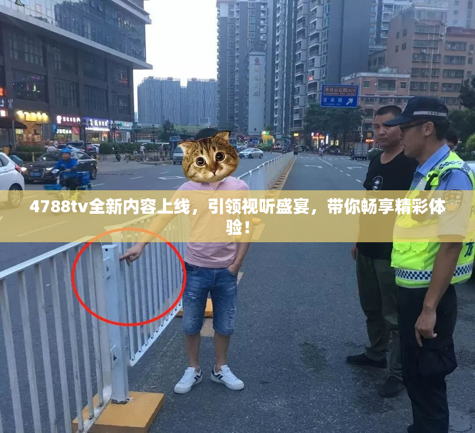 4788tv全新内容上线，引领视听盛宴，带你畅享精彩体验！