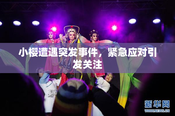 小樱遭遇突发事件，紧急应对引发关注