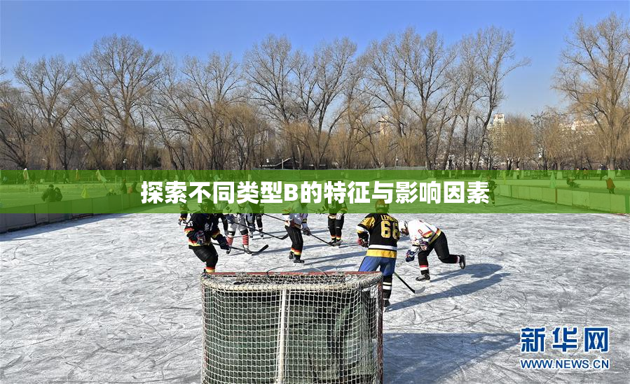 探索不同类型B的特征与影响因素