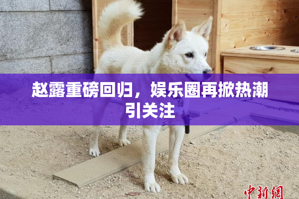赵露重磅回归，娱乐圈再掀热潮引关注