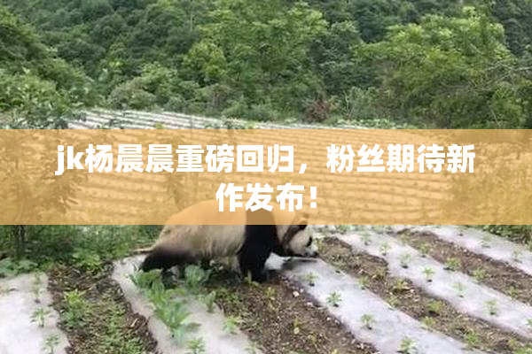 jk杨晨晨重磅回归，粉丝期待新作发布！