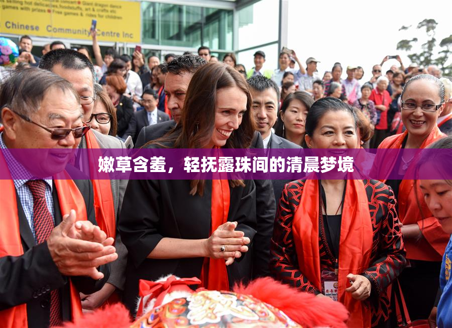 嫩草含羞，轻抚露珠间的清晨梦境