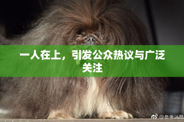 一人在上，引发公众热议与广泛关注