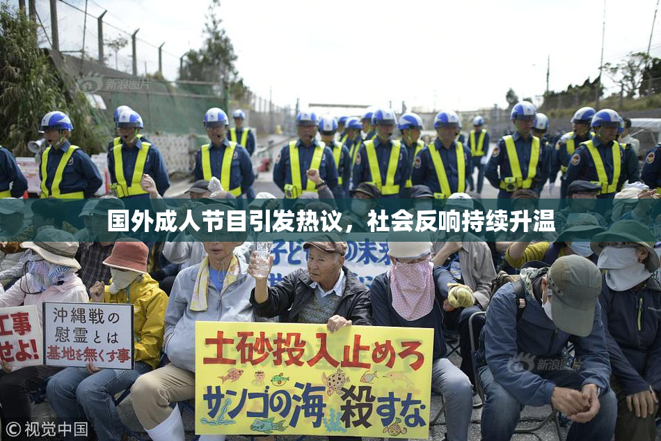 国外成人节目引发热议，社会反响持续升温