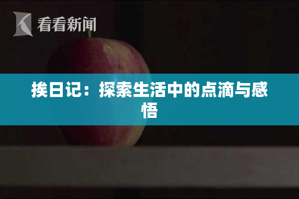 挨日记：探索生活中的点滴与感悟