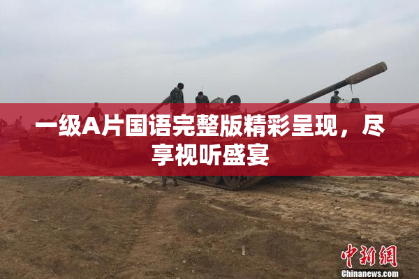 一级A片国语完整版精彩呈现，尽享视听盛宴