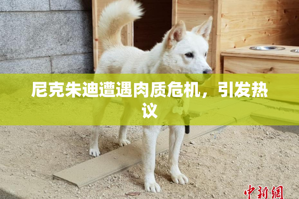 尼克朱迪遭遇肉质危机，引发热议